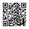 Rhythms India - Chitti Babu Song - QR Code