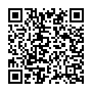 Parvar Digara - Remix Song - QR Code