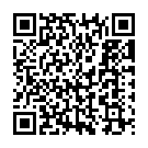 Sari Sari Raat (Instrumental) Song - QR Code