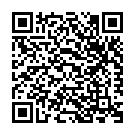 Thodigane Kottha Chiguru Song - QR Code