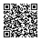 Chham Chham Kardi Song - QR Code