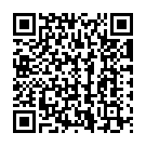 Thodigane Kottha Chiguru Song - QR Code