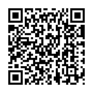 Thodigane Kottha Chiguru Song - QR Code