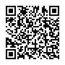 Aa Mundia Ve Zara Remix Song - QR Code