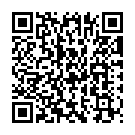 Theme Storm (Indian) Song - QR Code