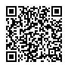 Punjabi (Album Version) Song - QR Code