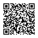 Took-Took Dekhe Mohe Dilwale Song - QR Code