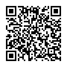 Hey Naughty Song - QR Code