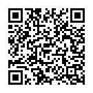 Nizam Babulu Song - QR Code