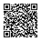 Mein Chali Mein Chali Song - QR Code