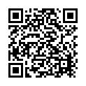 Yellorum Nallavare Instrumental Film Krishna Bhakthi Song - QR Code