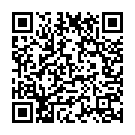 Flute Instrumental Song - QR Code