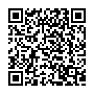 Boss Party Song - QR Code