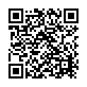 Punjabi Munde Remix (From "Mel Karade Rabba") Song - QR Code