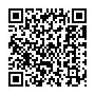 Tu Chiz Badi Namkin Song - QR Code